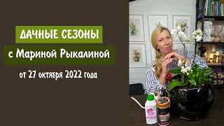 Дачные сезоны с Мариной Рыкалиной от 27 октября 2022 года