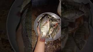 minggu 13 november//lapak nor suko #mancing #wadukkarangkates