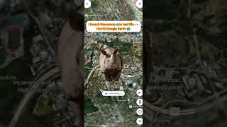 🤯🦏rhinoceros in real life part 2 👀 on google earth map🌎zooming short video 🤯#shorts #ytshorts