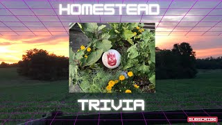 Homestead Trivia : Testing this out!