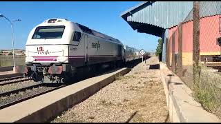 Locomotora 334 remolcando el Talgo hacia Barcelona Sants por Torrellano