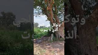 ١٦ فبراير ٢٠٢٤