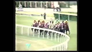 Survey King (1994 Sha Tin trophy)