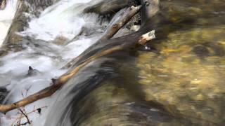 Relaxing 10m Calm Stream Sounds & Video 2