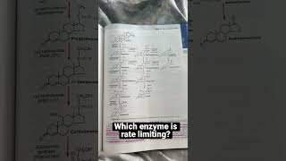 Physiology quizlet #21 - cholesterol metabolism | StudyThis!