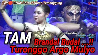 BRANDAL BUDAL...!!! TURONGGO ARGO MULYO||TAM||LIVE MERTI DUSUN GLETUK GETAS KALORAN TEMANGGUNG