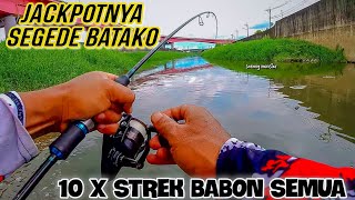 Berkali - Kali Joran Bergetar,, Mancing Ikan Nila Babon Di Sungai Yg Jarang Terjamah Pemancing