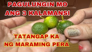 PAGULUNIGIN ITO SA 3 KALAMANSI TATANGAP KA NG MARAMING PERA-APPLE PAGUIO1