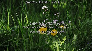 [가사 번역] 2022.01.01. 추천곡, 들에 핀 꽃처럼. | GACKT  - 野に咲く花のように