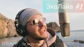 БЛАЖИН - Не могу не (ЭкоЛайв #1)