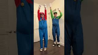 the mario & luigi rizzlers