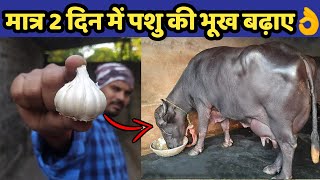 गाय/भैंस की भूख बढाने का No.1👌फॉर्मूला|Pashu ki bhook|How to increase hunger of cow/buffalo/animals.