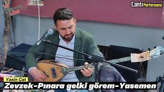 Yasin Çat Zevzek-Pınara Gelki Görem-Yasemen