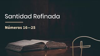 Santidad Refinada・Números 16—25 [Luis Contreras]