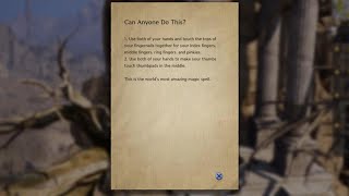 Throne And Liberty Easter Egg  Developer Notes  Can anyone do this ?