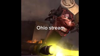 Stream