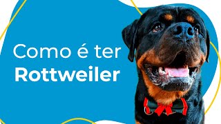 COMO É TER ROTTWEILER