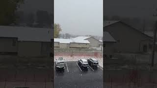 It's snowing y'all! 🌨️ ❄️ #weather #snow #shorts #viral #nature #outdoors