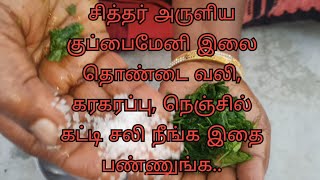 சித்தர் அருளிய குப்பைமேனி இலை தொண்டை வலி, கரகரப்பு, நெஞ்சில் கட்டி சலி நீங்க இதை பண்ணுங்க..