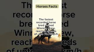 Facts about Horses.....#facts #youtubeshorts #viralvideo #shorts #trending