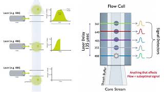 intro to flow workshop anzac