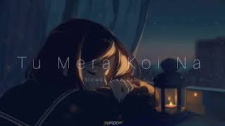 New Lofi Song (Tu Mera Koi Na) slowed and reverb | Lofi chillout | Sukoon Creations #song #bollywood