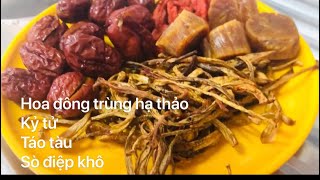 Hoa đông trùng hạ thảo