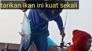 jigging pagi hari di laut Baluran