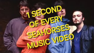 The Seahorses - 1 Second of Every Music Video. #britpop #1second #1secondvideo #johnsquire