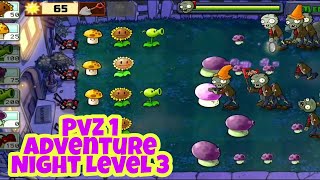 PvZ 1 Adventure Night 3