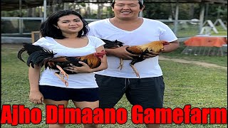 Lets Visit The Farm Of Ajho Dimaano Gamefarm