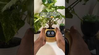 This smart planter is so adorable 🪴🥰 #shorts #plants #cute