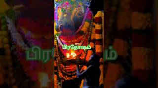 தேய்பிறை பிரதோசம் 2024 #latest