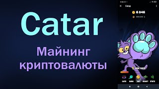 Catap. Обзор приложения для майнинга криптовалюты.