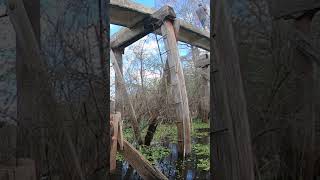 Exploring abandoned platform in the swamp