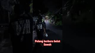 Pulang berburu belut sawah #part28  #kawanlaladog #vlog #belut #sawah #shortvideo