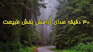 ٣٠ دقيقه صداى آرامش بخش طبيعت ( صداى زيباى پرندگان ) براى كاهش استرس و ريلكس كردن