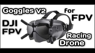 January NEW! DJI FPV Goggles V2 + Accessories!