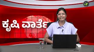 ಕೃಷಿ ವಾರ್ತೆ 18-09-24 | Rajasthan Millet Kit | Price Increase - Paddy & Oil Crops | Rainfall - 2024