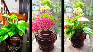 How to make simple  flower pot with coconut shell at home 🏠🏠🥰