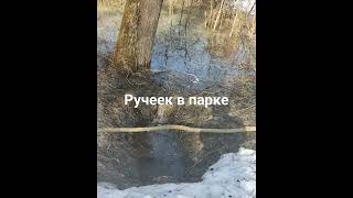 Снег в парке еще не растаял, но ручейки превращаются в маленькие водопады 😉.