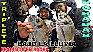 SEGUIMOS EN RACHA,PICADON+TRIPLETE DE DORADAS, PESCA SURFCASTING GRANADA...