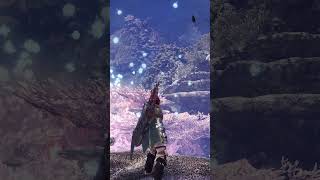 You're not supposed to fight it ~Monster Hunter World