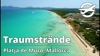 Platja de Muro ☀️ Die schönsten Strände auf Mallorca ☀️