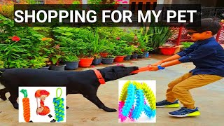 Shopping for my pet | Toy for dog | Best toy for dog | funwithpanda