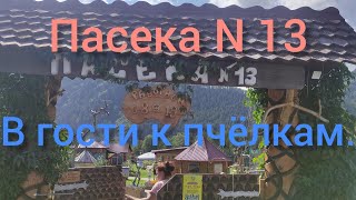 ПАСЕКА N 13. В ГОСТИ К ПЧЁЛКАМ. МИНИ ЭКСКУРСИЯ. Крошка енот, белки в клетке и многое другое..