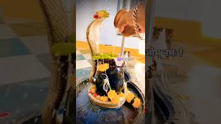 ganga dharay shiv ganga dharay|ओम् नमः शिवाय|#mahadev status Video#bholenath status#shorts#videos 🔱🔱