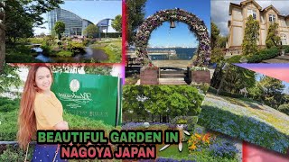 BEAUTIFUL GARDEN IN NAGOYA JAPAN || WILDFLOWER GARDER BLUE BONNET ||