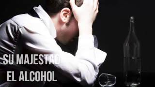 Su majestad el alcohol, Reflexion sobre el alcohol, Reflexiones diarias, Reflexiones de la vida