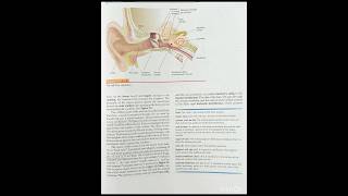 Audition, Anatomy of the Ear, Pitch,Loudness, Timbre, Spatial Location,#ear#audition#pitch#loudness